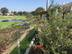 glass-deck-railing-system-3